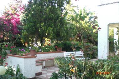 Villa in BALESTRATE (Palermo) or holiday homes and vacation rentals