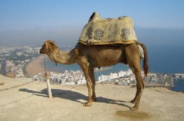 Holiday Apartment in agadir (Agadir) or holiday homes and vacation rentals