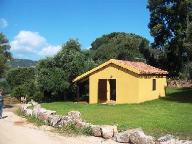 Holiday House in Baja Sardinia (Olbia-Tempio) or holiday homes and vacation rentals