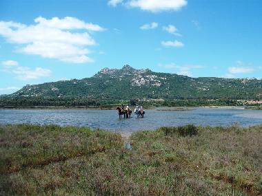 Holiday House in Baja Sardinia (Olbia-Tempio) or holiday homes and vacation rentals