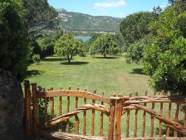 Holiday House in Baja Sardinia (Olbia-Tempio) or holiday homes and vacation rentals