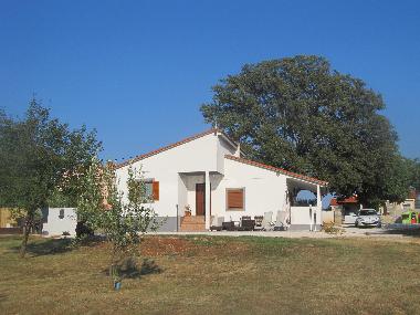 Villa in Svetvincenat (Istarska) or holiday homes and vacation rentals