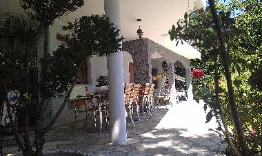 Villa in Bar-Utjeha-Kruce (Montenegro) or holiday homes and vacation rentals