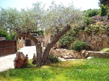 Holiday House in Baja Sardinia (Olbia-Tempio) or holiday homes and vacation rentals