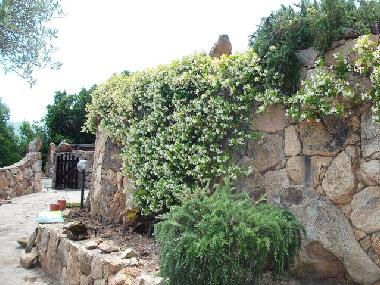 Holiday House in Baja Sardinia (Olbia-Tempio) or holiday homes and vacation rentals