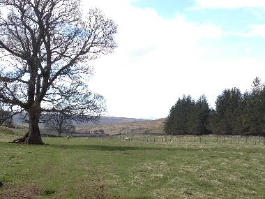 a walk towards the Rookhope Arch