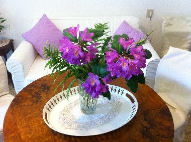 Holiday House in Benabbio (Lucca) or holiday homes and vacation rentals