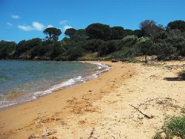 Holiday House in Baja Sardinia (Olbia-Tempio) or holiday homes and vacation rentals