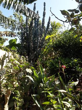 Holiday House in la boca trinidad (Sancti Spiritus) or holiday homes and vacation rentals