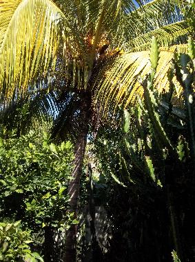 Holiday House in la boca trinidad (Sancti Spiritus) or holiday homes and vacation rentals