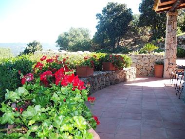 Holiday House in San Pantaleo (Olbia-Tempio) or holiday homes and vacation rentals