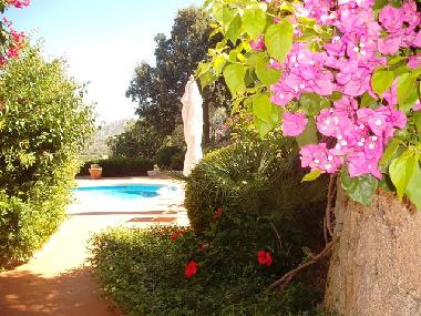 Holiday House in San Pantaleo (Olbia-Tempio) or holiday homes and vacation rentals