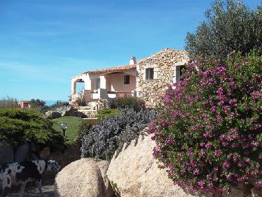 Villa in Porto Cervo Cala Granu (Olbia-Tempio) or holiday homes and vacation rentals
