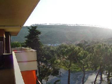 Holiday Apartment in Pineto (Teramo) or holiday homes and vacation rentals