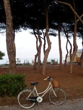 Holiday Apartment in Pineto (Teramo) or holiday homes and vacation rentals