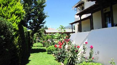 Hotel in Kala Nera (Magnisia) or holiday homes and vacation rentals