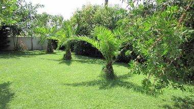 Hotel in Kala Nera (Magnisia) or holiday homes and vacation rentals