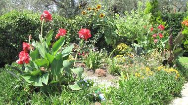 Hotel in Kala Nera (Magnisia) or holiday homes and vacation rentals