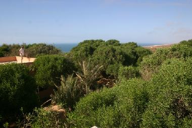 Villa in Massa (Agadir) or holiday homes and vacation rentals