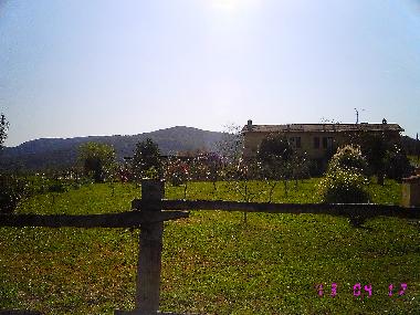 Holiday Apartment in gavorrano (Grosseto) or holiday homes and vacation rentals