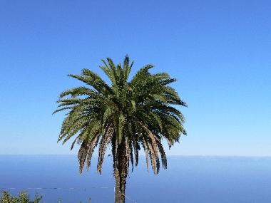 Villa in Tijarafe (La Palma und El Hierro) or holiday homes and vacation rentals