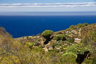 Villa in Tijarafe (La Palma und El Hierro) or holiday homes and vacation rentals