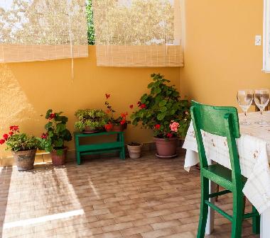 Holiday Apartment in Privlaka (Zadarska) or holiday homes and vacation rentals