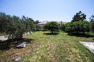 Holiday Apartment in Privlaka (Zadarska) or holiday homes and vacation rentals