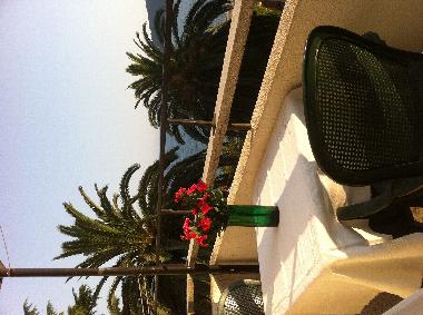Holiday Apartment in Herceg Novi (Montenegro) or holiday homes and vacation rentals
