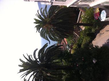 Holiday Apartment in Herceg Novi (Montenegro) or holiday homes and vacation rentals