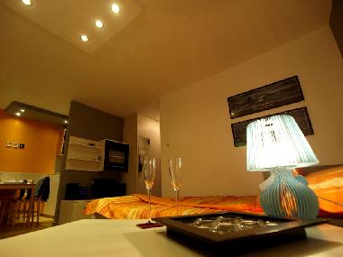 Apartment DesignMaksimir Zagreb