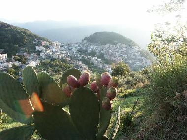 Holiday House in Bafia Castroreale (Messina) or holiday homes and vacation rentals