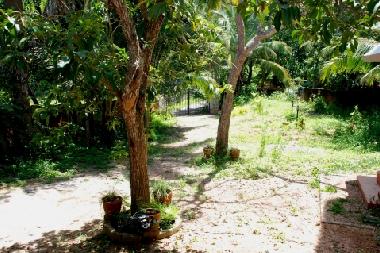 Holiday House in KOVALAM (Kerala) or holiday homes and vacation rentals