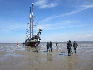 Boat in Harlingen (Friesland) or holiday homes and vacation rentals
