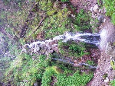 Holiday Apartment in grardmer (Vosges) or holiday homes and vacation rentals