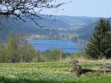 Holiday Apartment in grardmer (Vosges) or holiday homes and vacation rentals