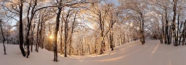 Holiday Apartment in grardmer (Vosges) or holiday homes and vacation rentals