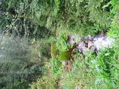 Holiday Apartment in grardmer (Vosges) or holiday homes and vacation rentals