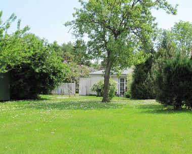 Holiday House in Kasnevitz (Ostsee-Inseln) or holiday homes and vacation rentals