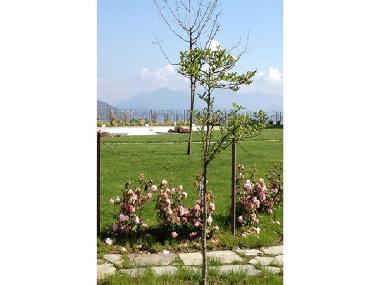 Holiday Apartment in Meina  (Novara) or holiday homes and vacation rentals