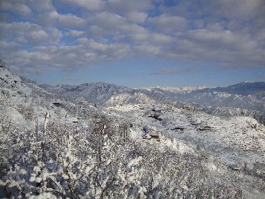 Holiday House in shimla (Himachal Pradesh) or holiday homes and vacation rentals