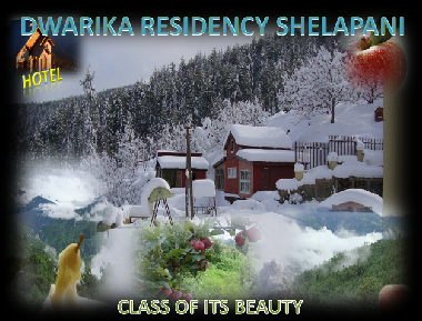 Holiday House in shimla (Himachal Pradesh) or holiday homes and vacation rentals