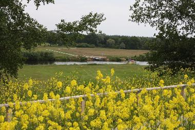 Chalet in Hoge Hexel (Overijssel) or holiday homes and vacation rentals