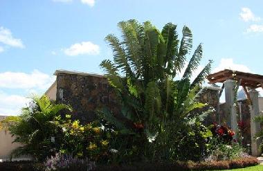 Villa in Mauritius (Black River) or holiday homes and vacation rentals