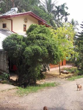 Holiday House in Induruwa (Kalutara) or holiday homes and vacation rentals