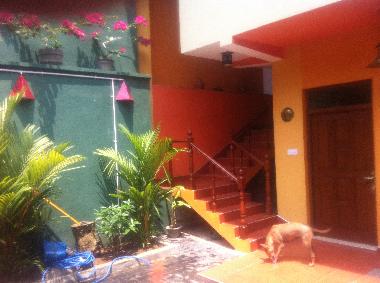 Holiday House in Induruwa (Kalutara) or holiday homes and vacation rentals