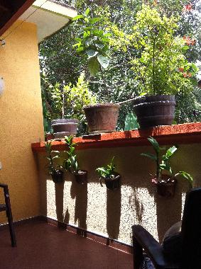 Holiday House in Induruwa (Kalutara) or holiday homes and vacation rentals