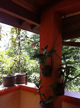 Holiday House in Induruwa (Kalutara) or holiday homes and vacation rentals
