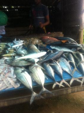 Holiday House in Induruwa (Kalutara) or holiday homes and vacation rentals