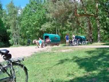 Caravan in Vledder (Drenthe) or holiday homes and vacation rentals
